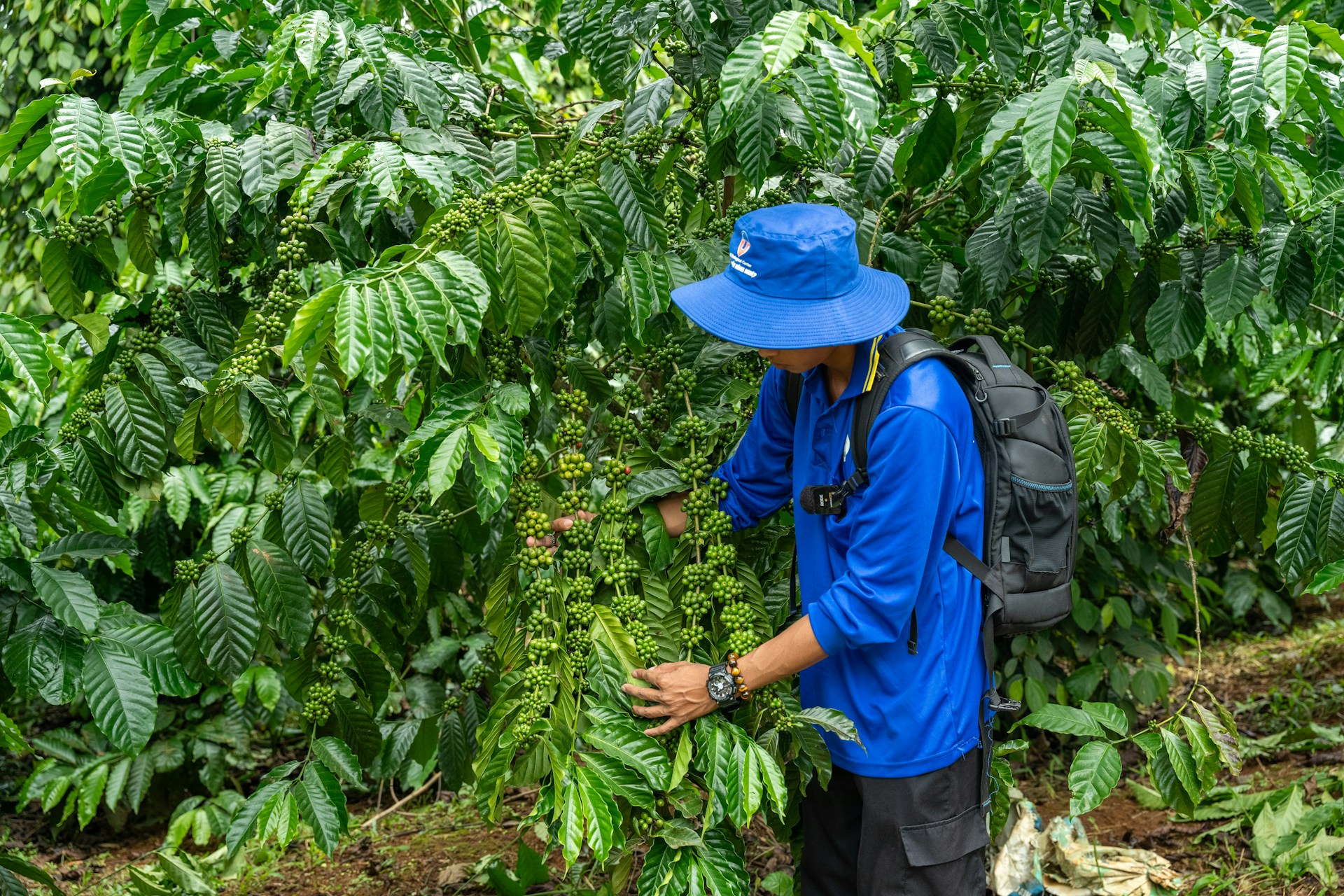 Investigación en campo